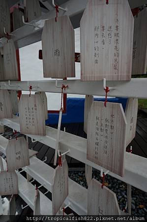 DSC05370.JPG