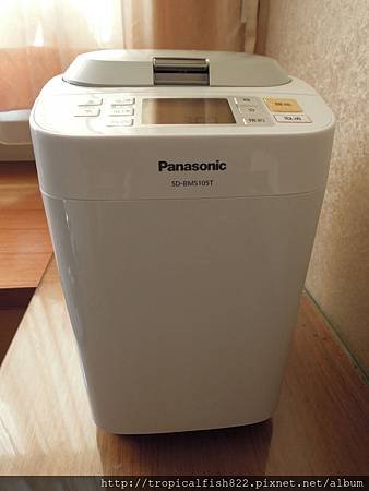 DSCN3737