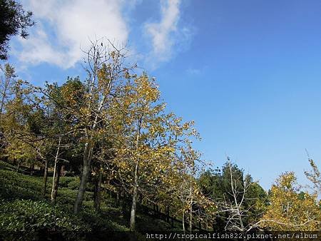 DSCN5025.JPG