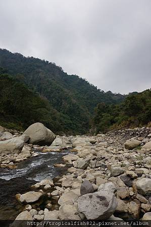 DSC04098.JPG