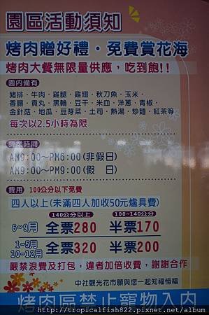 DSC08653.JPG
