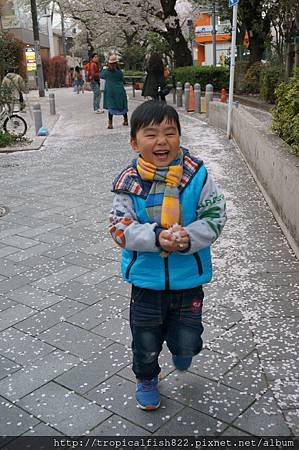 DSC02214.JPG
