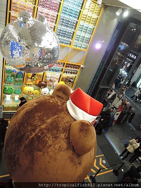 DSCN5769.JPG