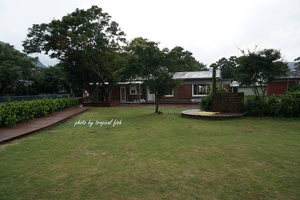 DSC08786.JPG