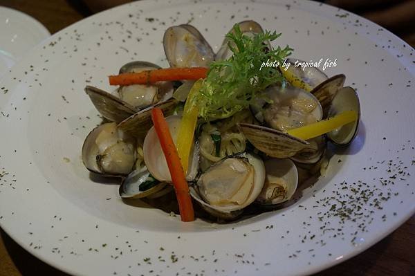 DSC08797.JPG