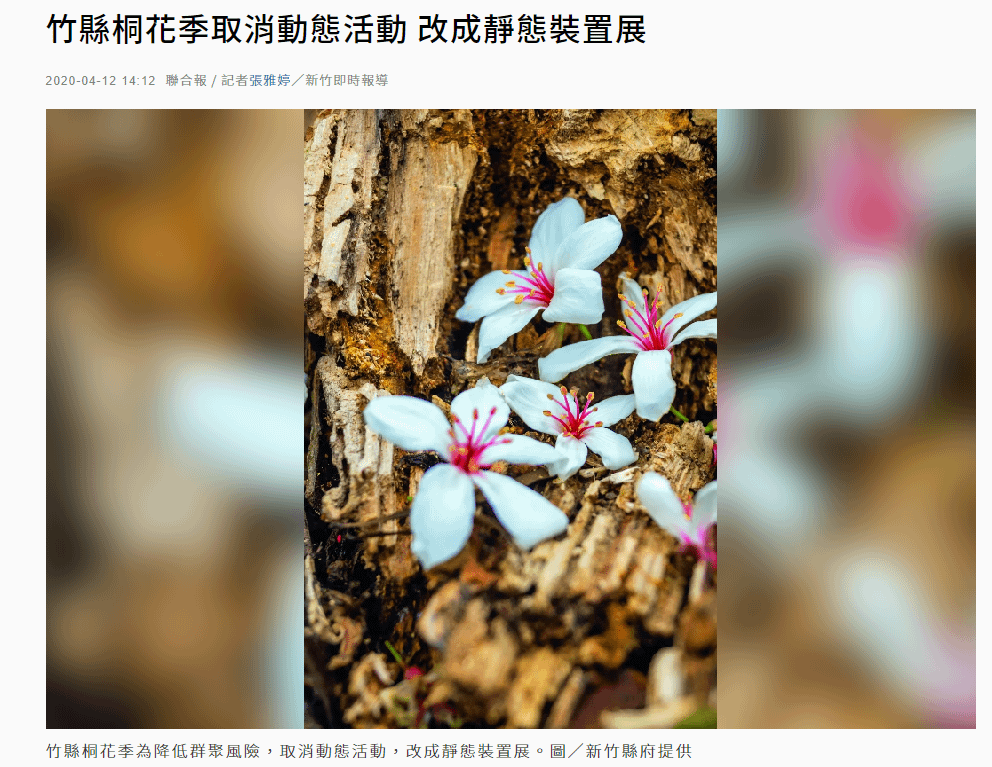 竹縣桐花季為降低群聚風險，取消動態活動改成靜態裝置展.png