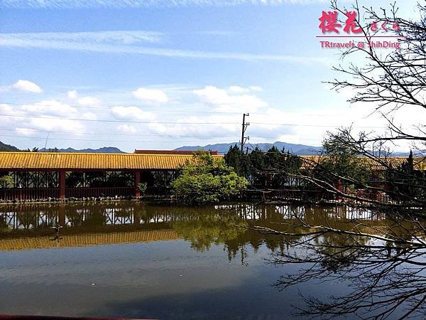 光明里櫻花 (3).jpg
