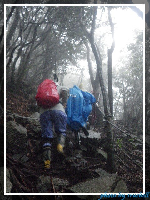 穿著雨衣前進