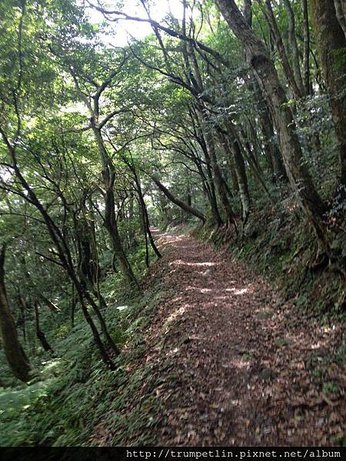 相片 2014-7-19 13 03 59.jpg