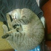 20120107224.jpg