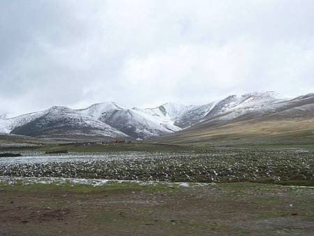 smallP1230956.JPG