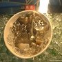 rePIC_5105.JPG