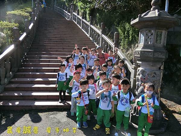 P2.jpg