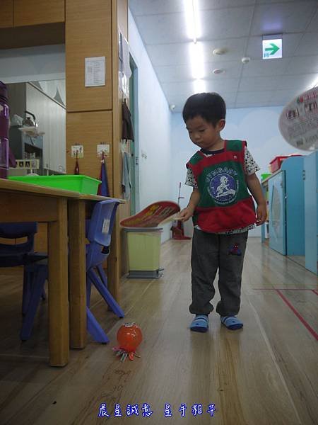 P6.JPG
