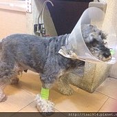 DiDi Operation-003.jpeg