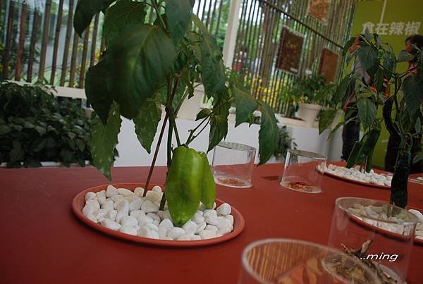 2012綠色博覽會