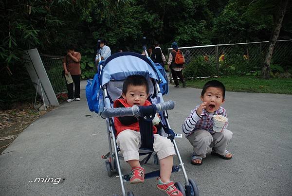2012綠色博覽會
