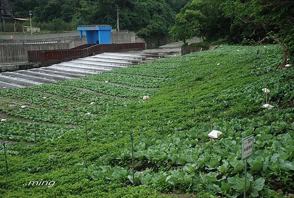 2012綠色博覽會