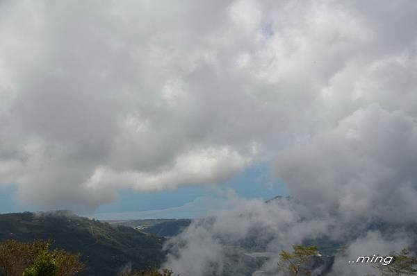 太麻里金針山青山農場