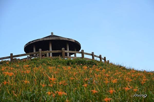 太麻里金針山青山農場