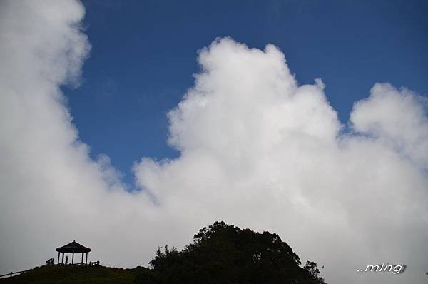 太麻里金針山青山農場