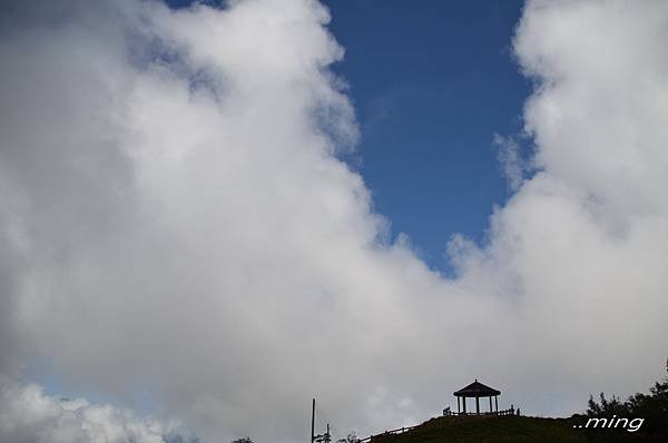 太麻里金針山青山農場