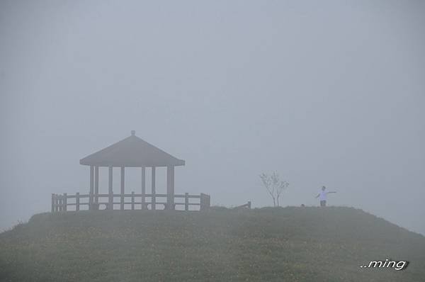 太麻里金針山青山農場