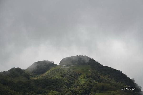 太麻里金針山青山農場