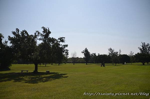台東森林公園