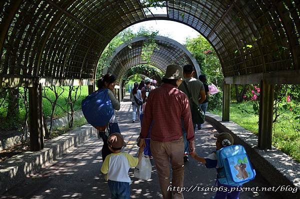 台東森林公園