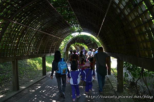 台東森林公園