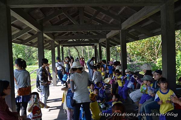 台東森林公園