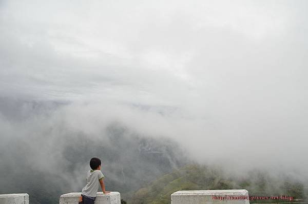 金針山青山農場