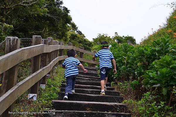 金針山青山農場