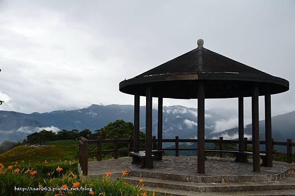 金針山青山農場