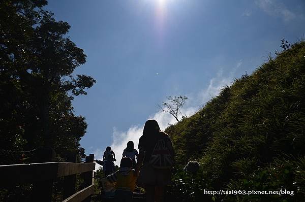 金針山青山農場