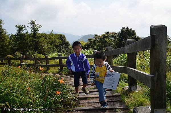 金針山青山農場