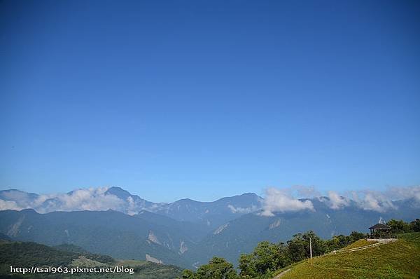 金針山青山農場