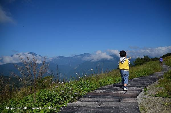 金針山青山農場