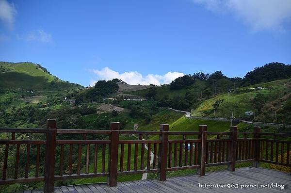 金針山青山農場
