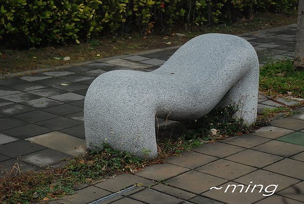 DSC_0265_調整大小.jpg
