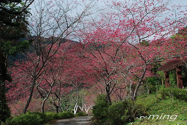 DSC_0159.jpg