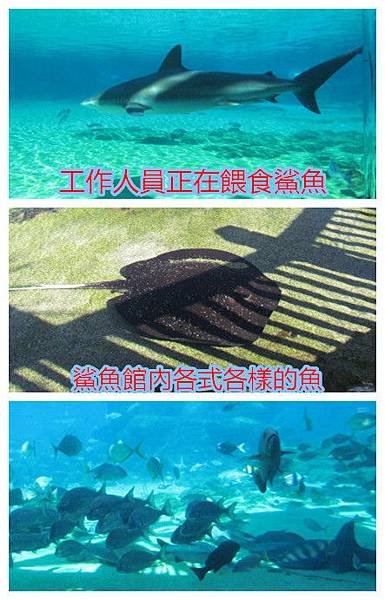 IMG_0180_副本_副本