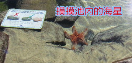 IMG_0209_副本