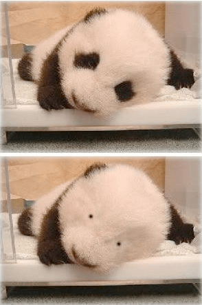 圖片 4.png