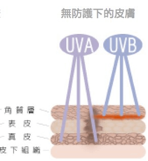 圖片 3.png