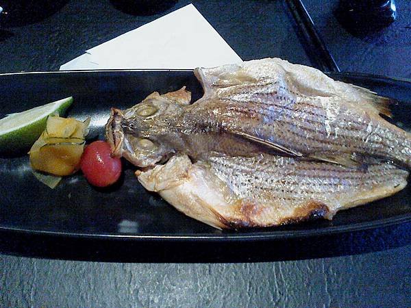 DSC00500.JPG