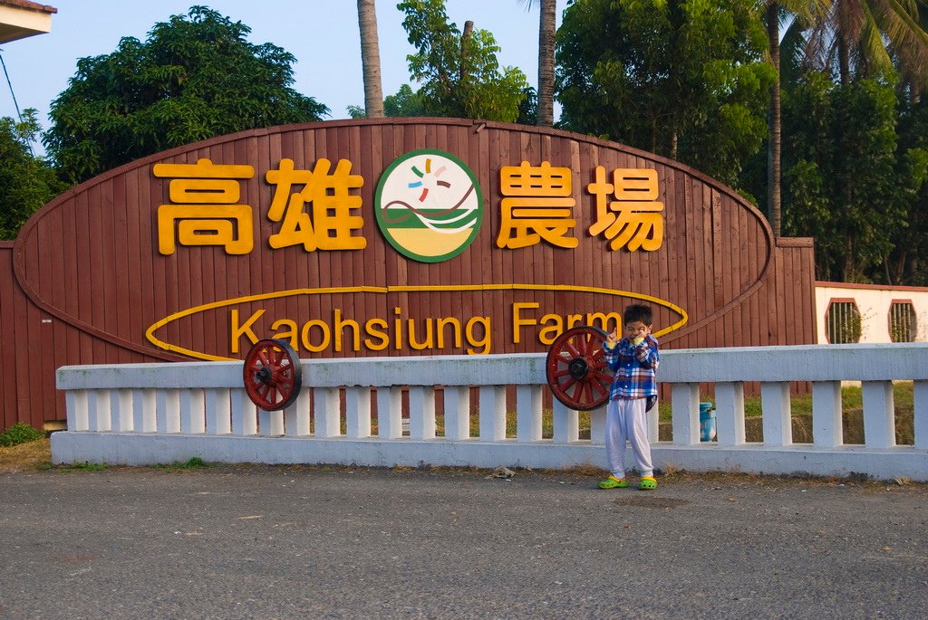 01.jpg