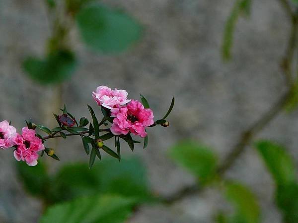 P1560973
