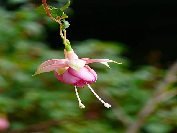 P1570456